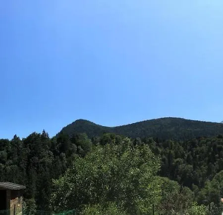 Wiesenlehen * Bischofswiesen